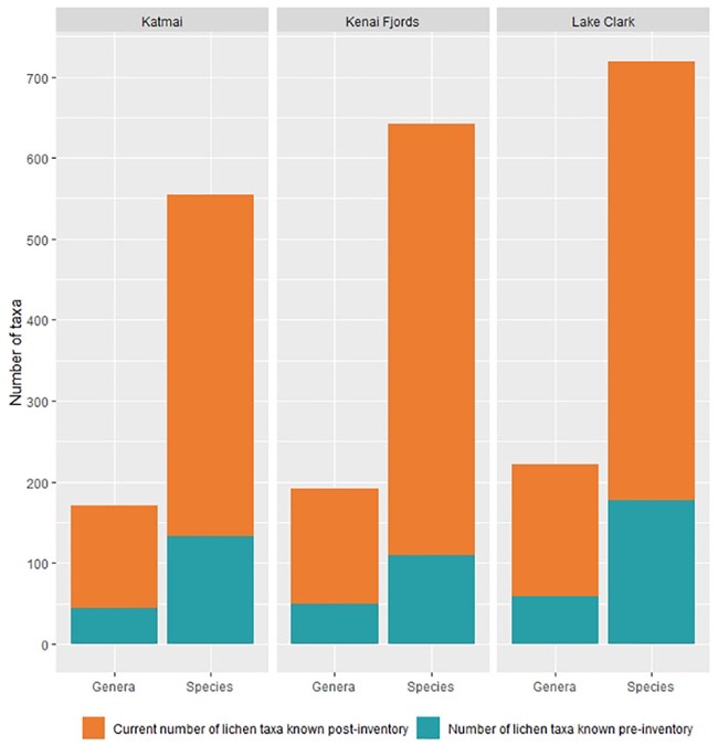lichen bar graph A bar graph showing the increase in described species of lichen due to the inventory.