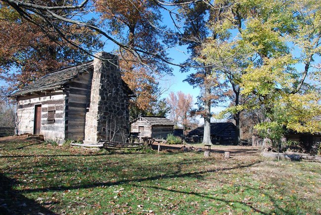Tall trees around a log cabin and several log outbuildings