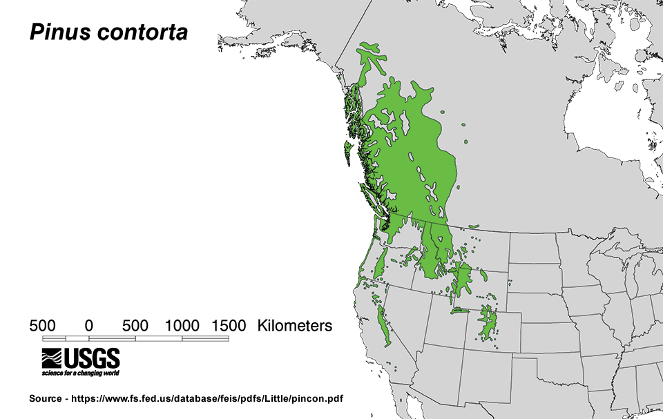 Map of the United States from the Great Lakes, westward, showing distribution of lodgepole pine from Canada to Mexico. Map of the United States from the Great Lakes, westward, showing distribution of lodgepole pine from Canada to Mexico.