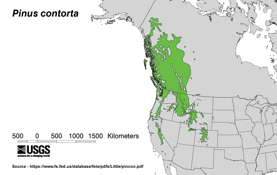 Map of the United States from the Great Lakes, westward, showing distribution of lodgepole pine from Canada to Mexico. Map of the United States from the Great Lakes, westward, showing distribution of lodgepole pine from Canada to Mexico.