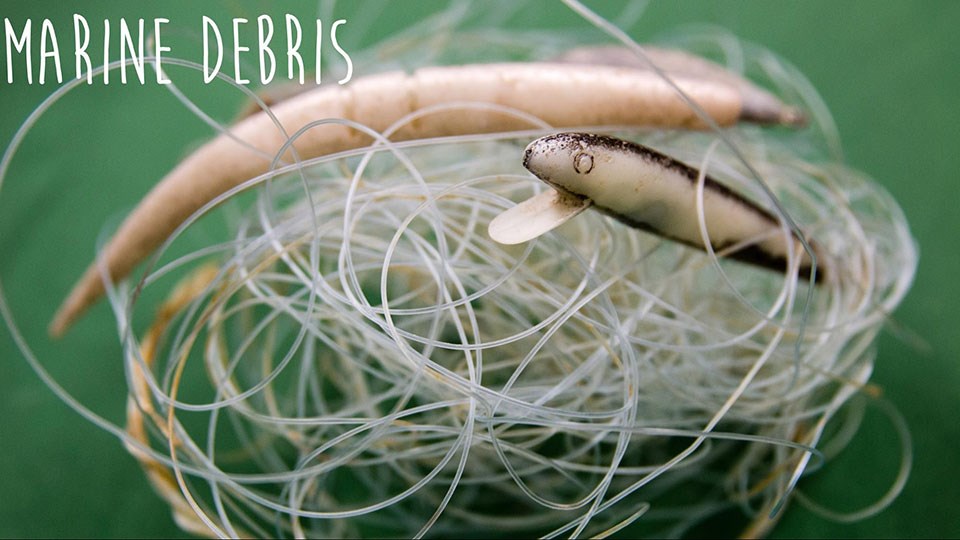 marine debris tangled fishing line with 2 fishing lures in the middle with the words marine debris over the photo