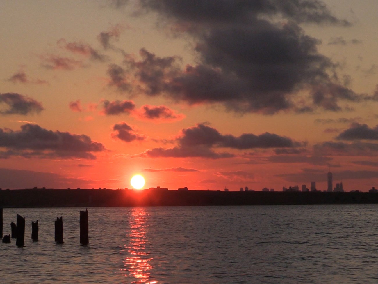 Silhouette of salt marsh and city skyline.