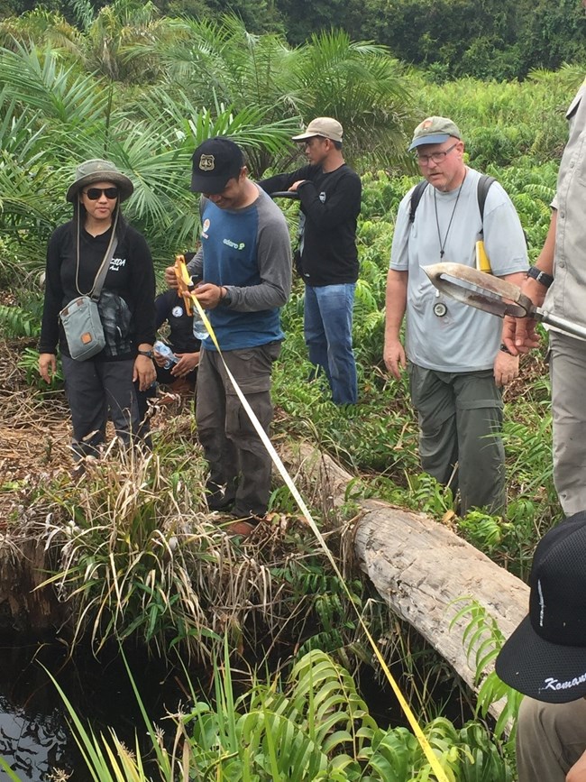 Measuring canal widths in peatland habitat