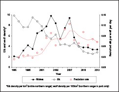 Figure showing temporal variation in northern range wolf-elk dynamics