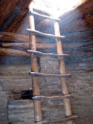 Ladder and beams in a kiva.
