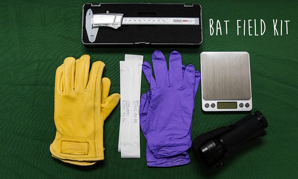yellow and purple gloves, UV flashlight, and calipers with the words Bat Field Kit written over the photo