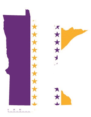 Minnesota state flag