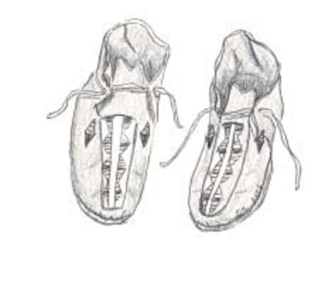 Illustration of a pair of moccasins with quill work in the front