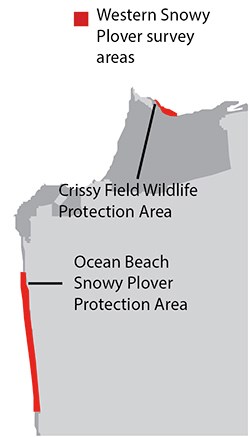 Map showing that Western Snowy Plover surveys occur in the Crissy Field Wildlife Protection Area and the Ocean Beach Snowy Plover Protection Area