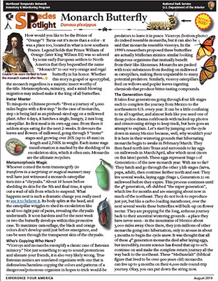 image of PDF