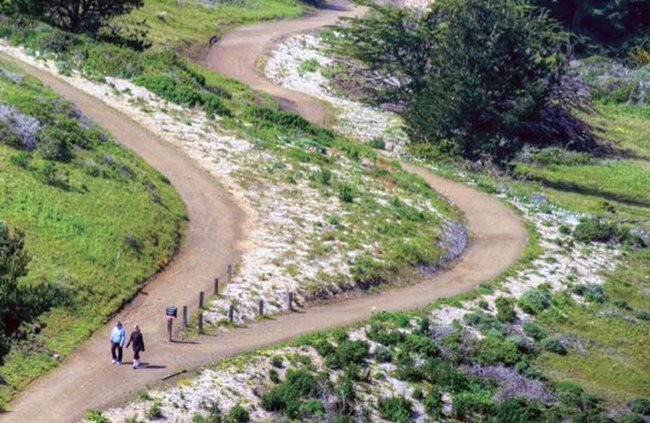 Wide shot of flower-lined trails at Mori Point.