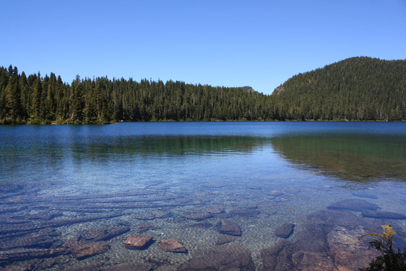 Clear, blue water of Mowich Lake surrounded by forested ridge.