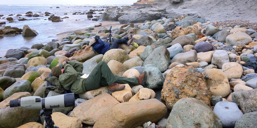 Two people laying on boulders between a cliff and the ocean, looking up with binoculars and scopes