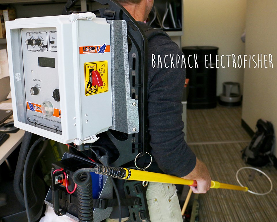 metal box and wand with straps with the words backpack electrofisher atop the photo #sciencedeskdigs: Nic Medley