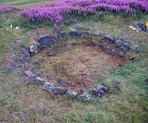 [photo] Ring of stones surrounded by wildflowers.