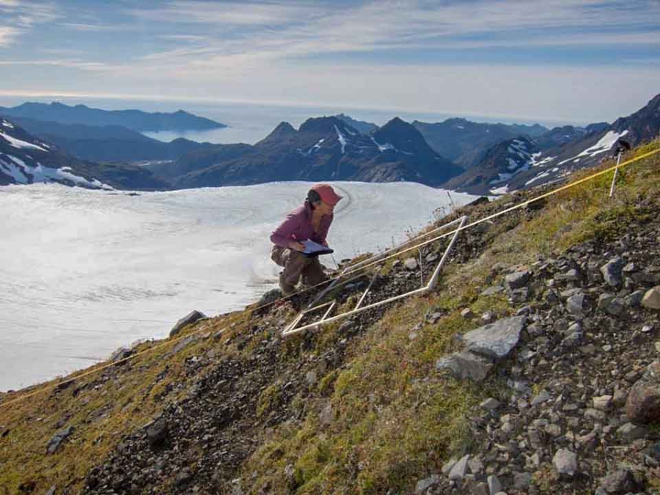 A researcher collects data on a nunatak.