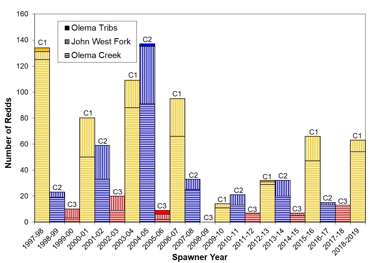 Bar graph of coho redd counts since 1997-98 showing that this winter's cohort produced a similar number of redds to the previous time fish of the same cohort spawned.