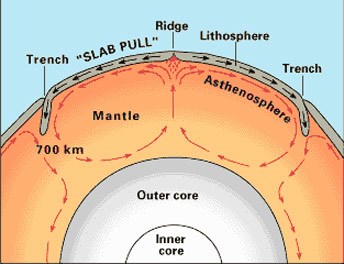 orogeny2 cross-section diagram of the earth showing how the crust floats atop magma
