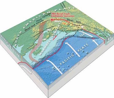 orogeny3 tectonic plate graphic of the coast of alaska illustrating how the pacific plate pushes under the north american plate