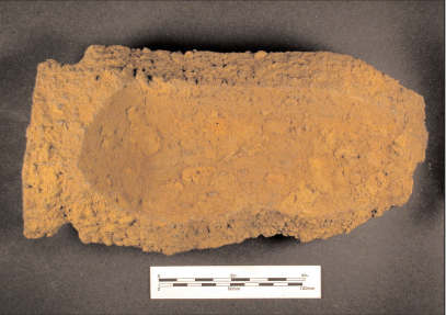 A large, brown, rocky-textured fragment of a 100-pound Parrot Shell.