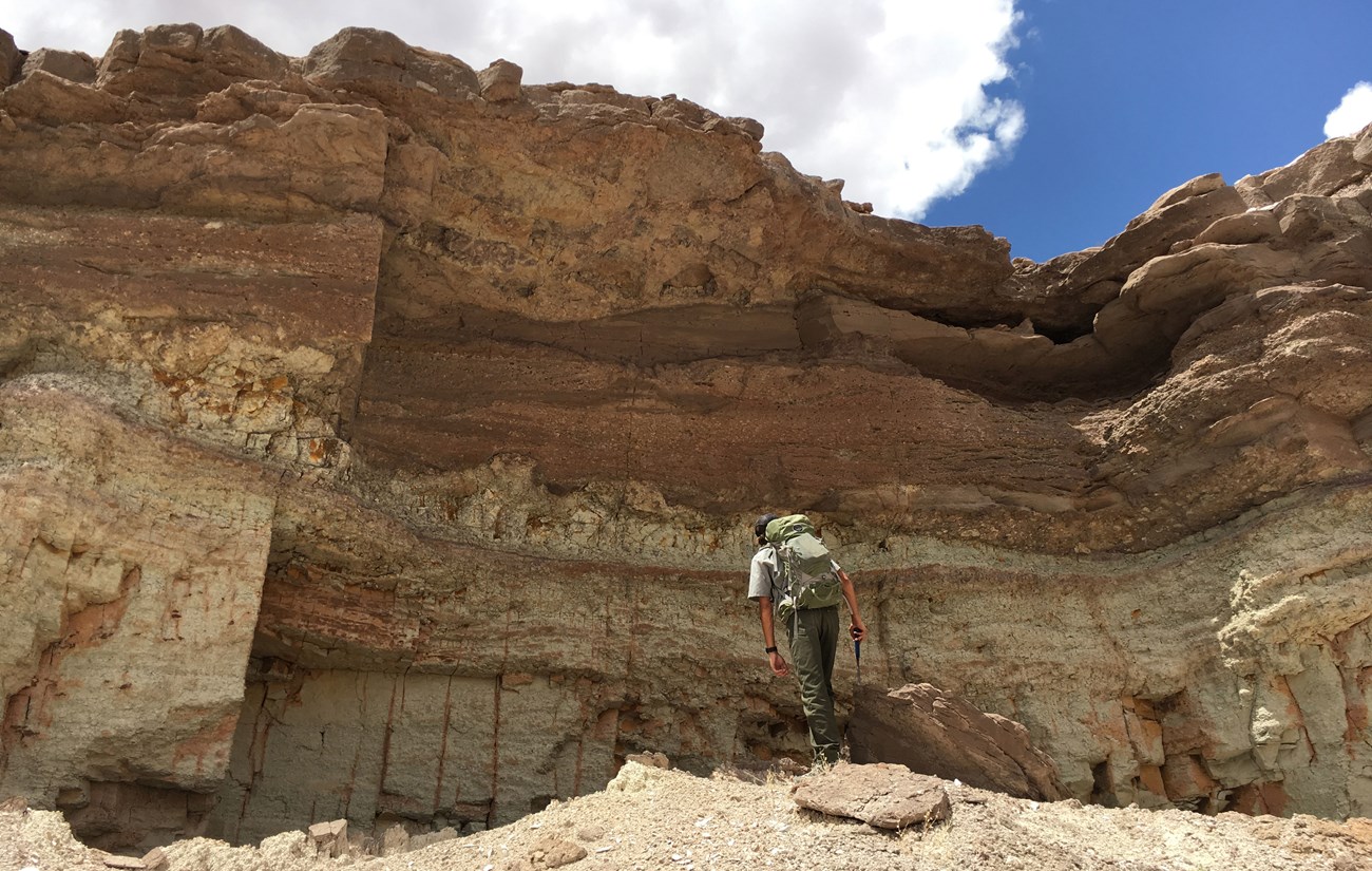 ranger examining a rock bluff