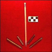 Pencils, from Rock Creek Park. Pencils, from Rock Creek Park.