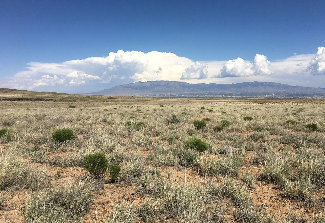 Photograph of the Sandia Mountains.