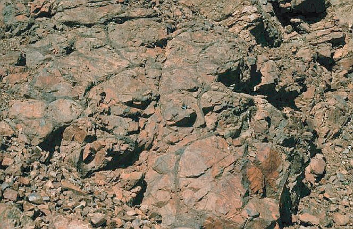 rock outcrop with bumpy surface