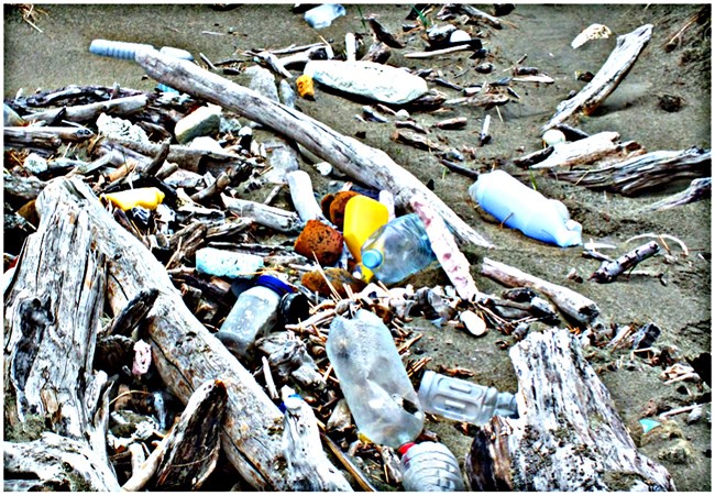 Plastic bottles, Styrofoam and other throw away items litter a beach