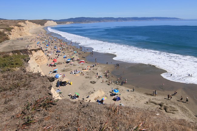 Park visitors on Drakes Beach for a sand sculpture contest