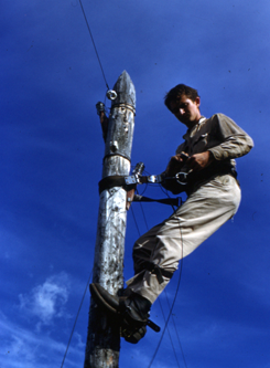 power 1 a man on a telephone pole