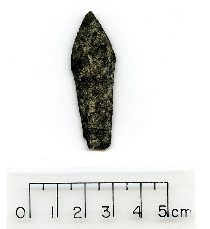 Arrowhead shaped rock, around 5 cm long and 2 cm wide at widest point.