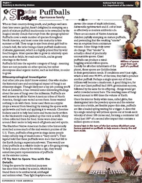 puffPDF PDF of Puffball brief.