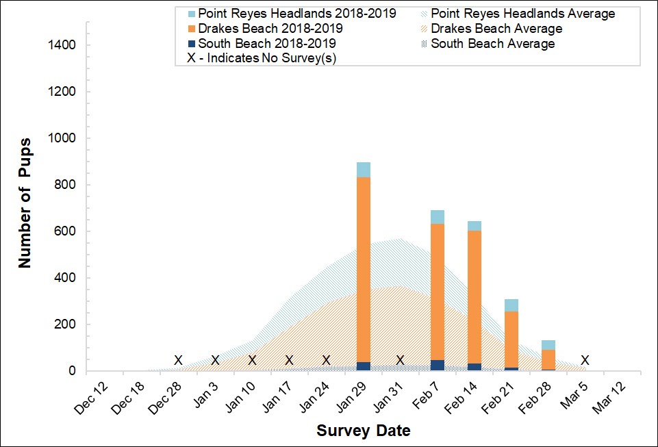 2018-2019 Elephant Seal Pup Counts Stacked bar graph of the number of elephant seal pups counted at three colonies in Point Reyes in 2017-2018 by survey date, overlayed on a stacked area graph showing the average number of pups counted at the colonies between 2005 and 2017.