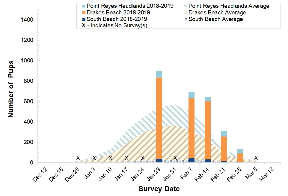 2018-2019 Elephant Seal Pup Counts Stacked bar graph of the number of elephant seal pups counted at three colonies in Point Reyes in 2017-2018 by survey date, overlayed on a stacked area graph showing the average number of pups counted at the colonies between 2005 and 2017.