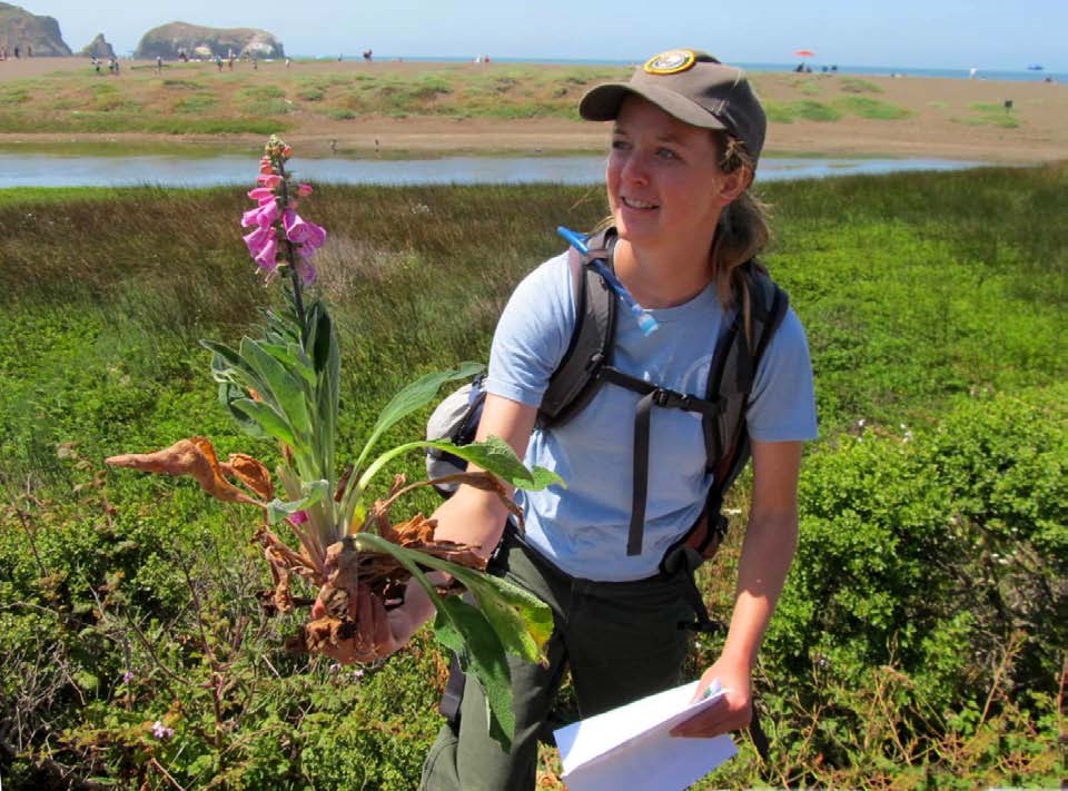 Early detection intern Lindsay Ringer teaches volunteers to identify invasive purple foxglove.