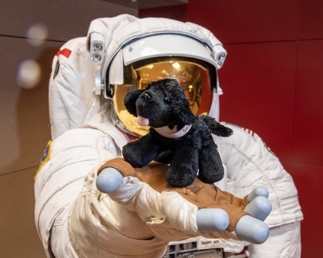 toy dog on astronaut suit