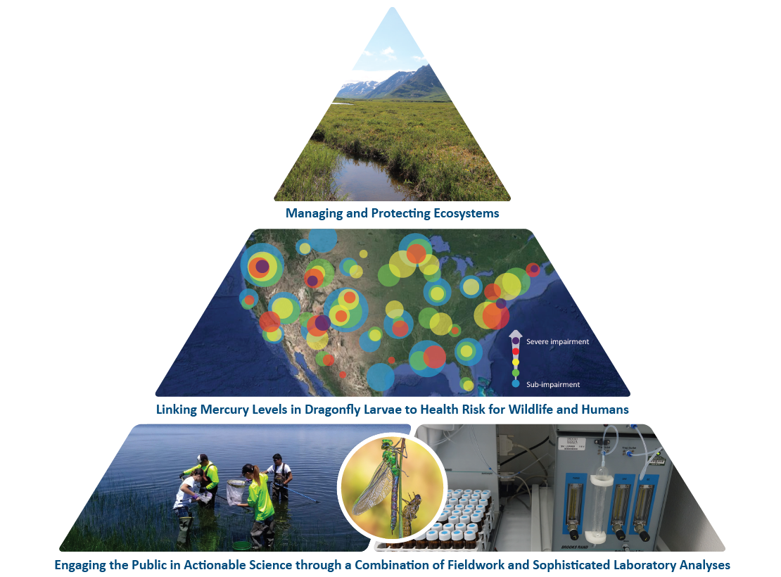 Three images cropped and stacked in the shape of a pyramid. Bottom: volunteers sampling and lab equipment. Middle: map with different size/color dots indicating mercury risk levels. Top: scenic image of river, field, and mountains.