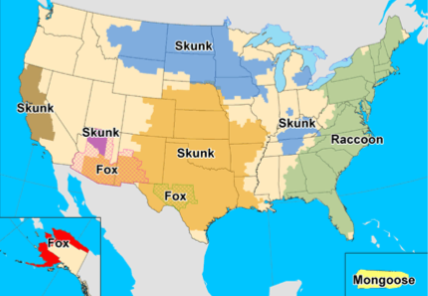 One Health and Disease: Rabies (. National Park Service) One Health and Disease: Rabies (. National Park Service)