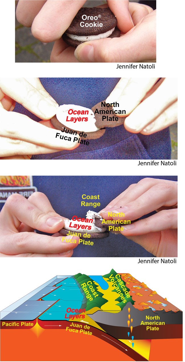 3 photos showing subduction using a sandwich cookie and a 3d diagram of the pacific northwest subduction zone