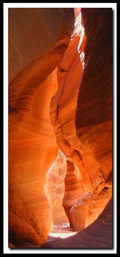 Interior view of the sculpted, curved walls of a slot canyon, Zion National Park, Utah.
