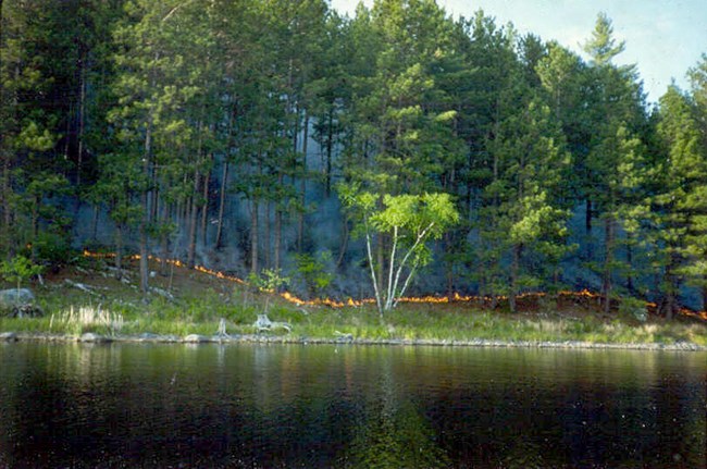 Small flames in a forest beyond a small body of water.