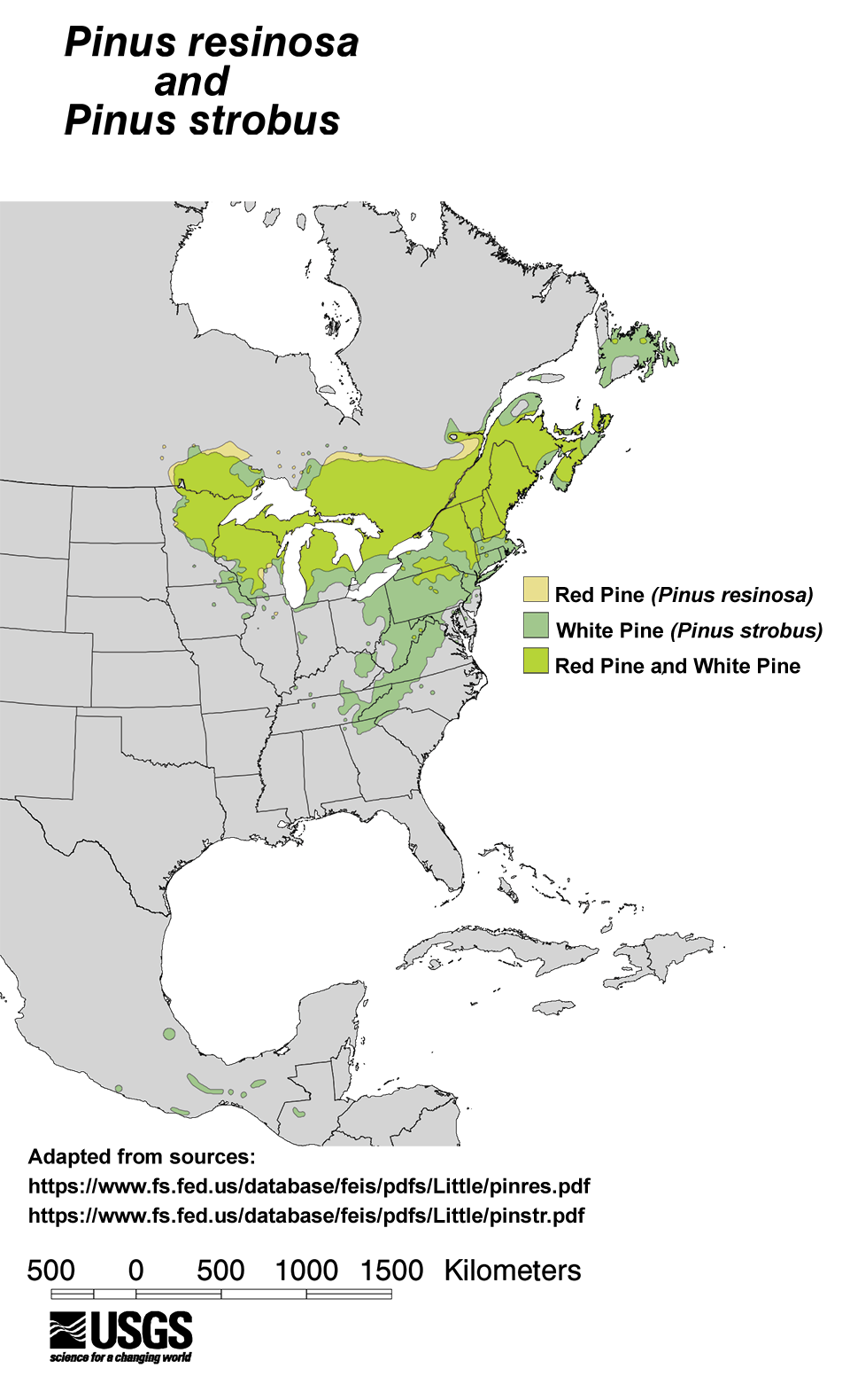 Distribution map of red pine and white pine in mostly the north and eastern portions of the United States and into Canada. Scattered instances in the South and Mexico.