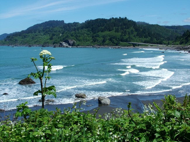 View of shore at Redwood NSP