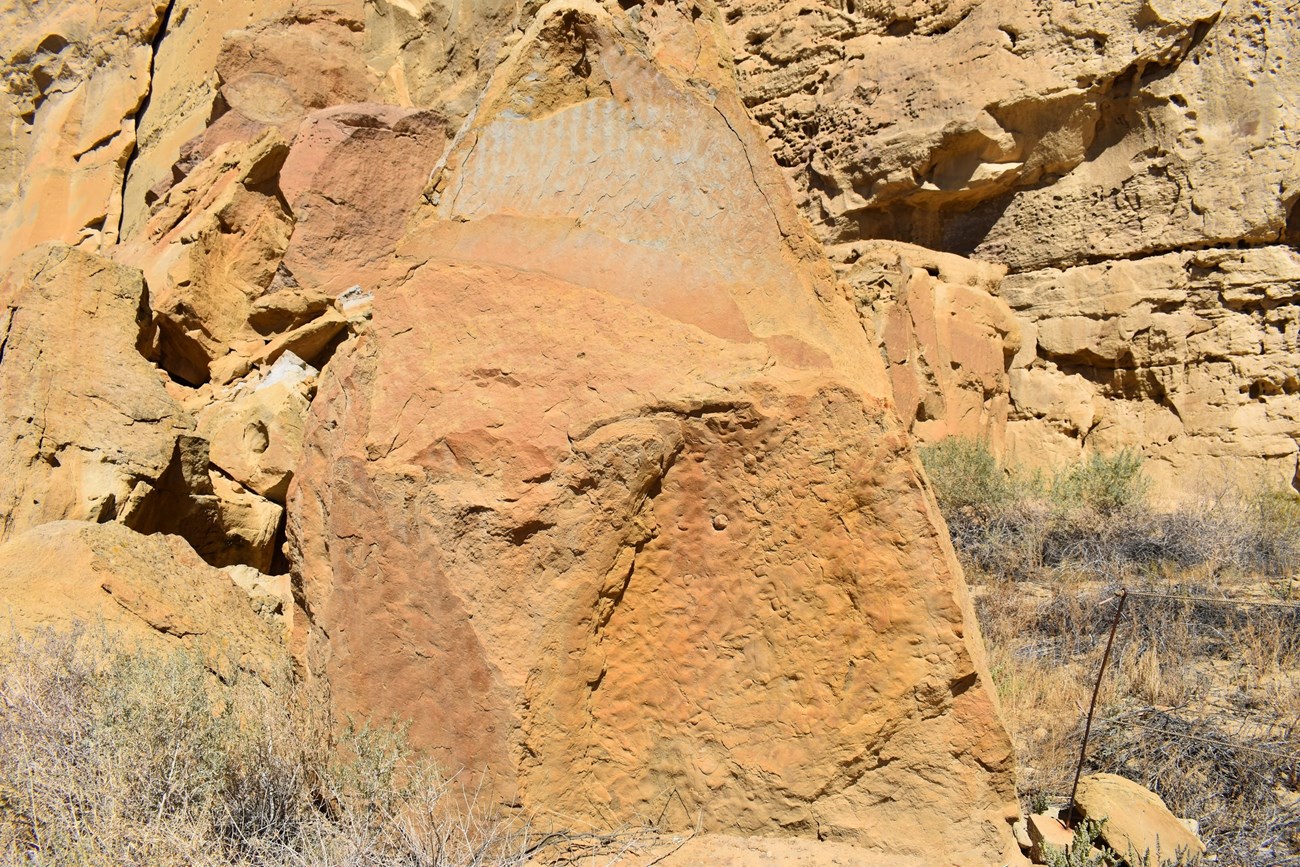 ripple marks on a large sandstone boulder