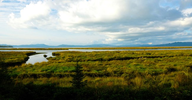 river with greenery on each side