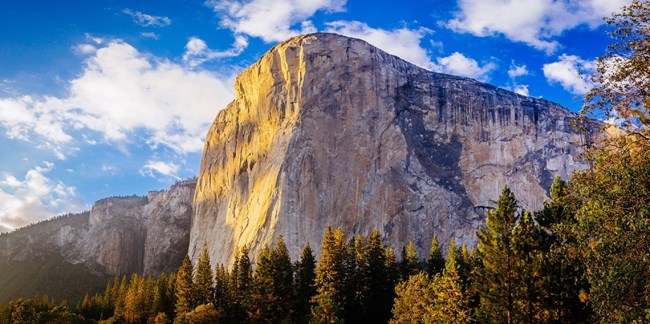 Tall mountains surrounded by trees. CC0