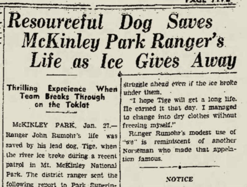 newspaper headline reading, "resourceful dog saves mckinley park ranger's life as ice gives away"