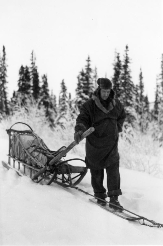 rumor 6 a man pulling a sled in the snow