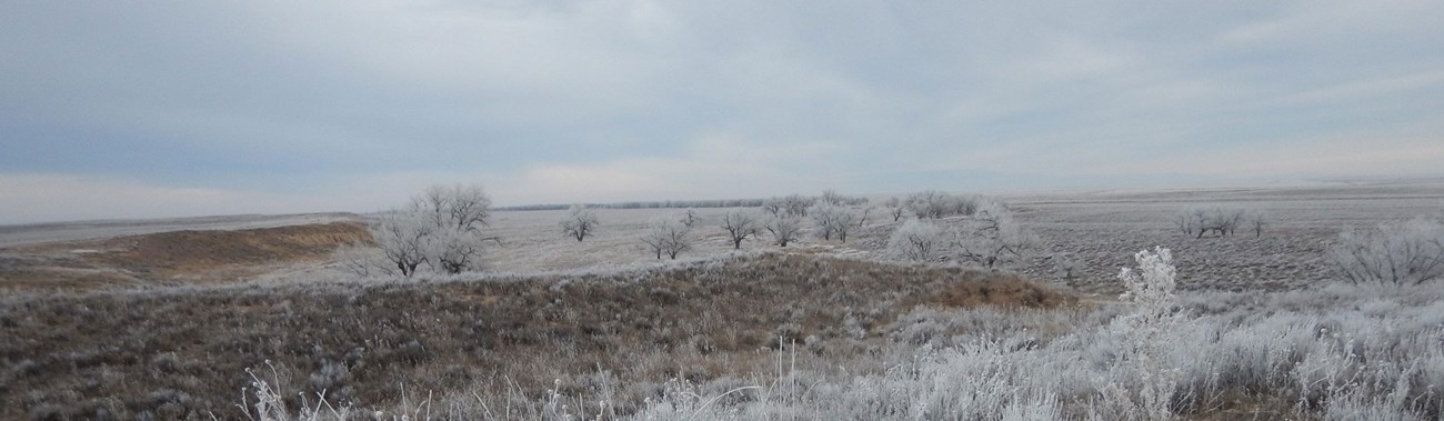 sand creek landscape